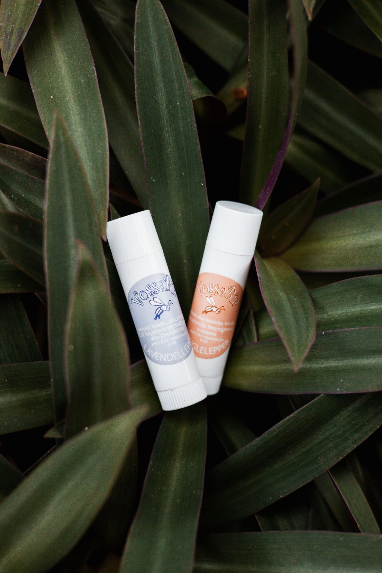 To håndkremer plassert blant grønne blader, nærbilde.